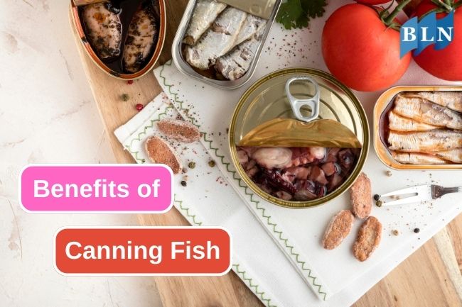 5 Benefits Of Canning Methods On Fish Preservation